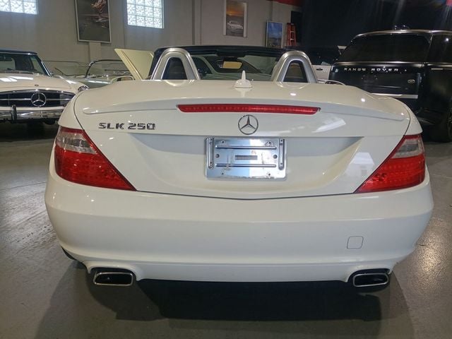 2015 Mercedes-Benz SLK 2dr Roadster SLK 250 Clean Carfax Florida Car - 22978243 - 4