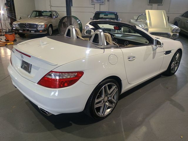 2015 Mercedes-Benz SLK 2dr Roadster SLK 250 Clean Carfax Florida Car - 22978243 - 6