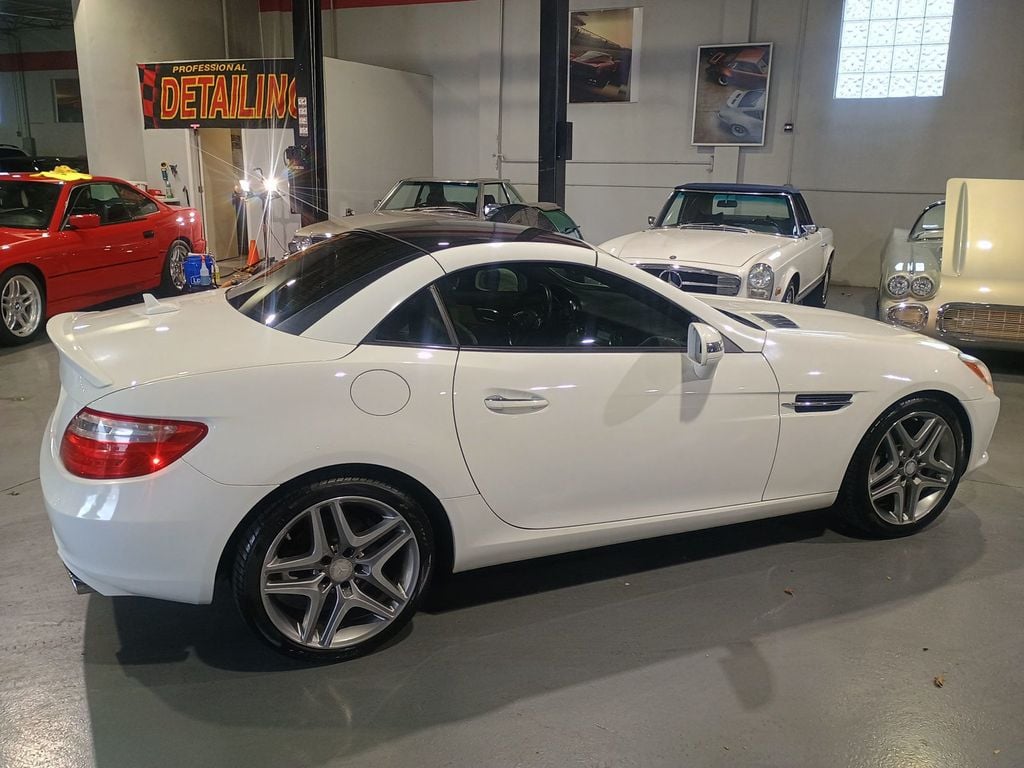 2015 Mercedes-Benz SLK 2dr Roadster SLK 250 Clean Carfax Florida Car - 22978243 - 7