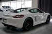2015 Porsche Cayman *Cayman GTS* *6-Speed Manual*  - 22921608 - 21