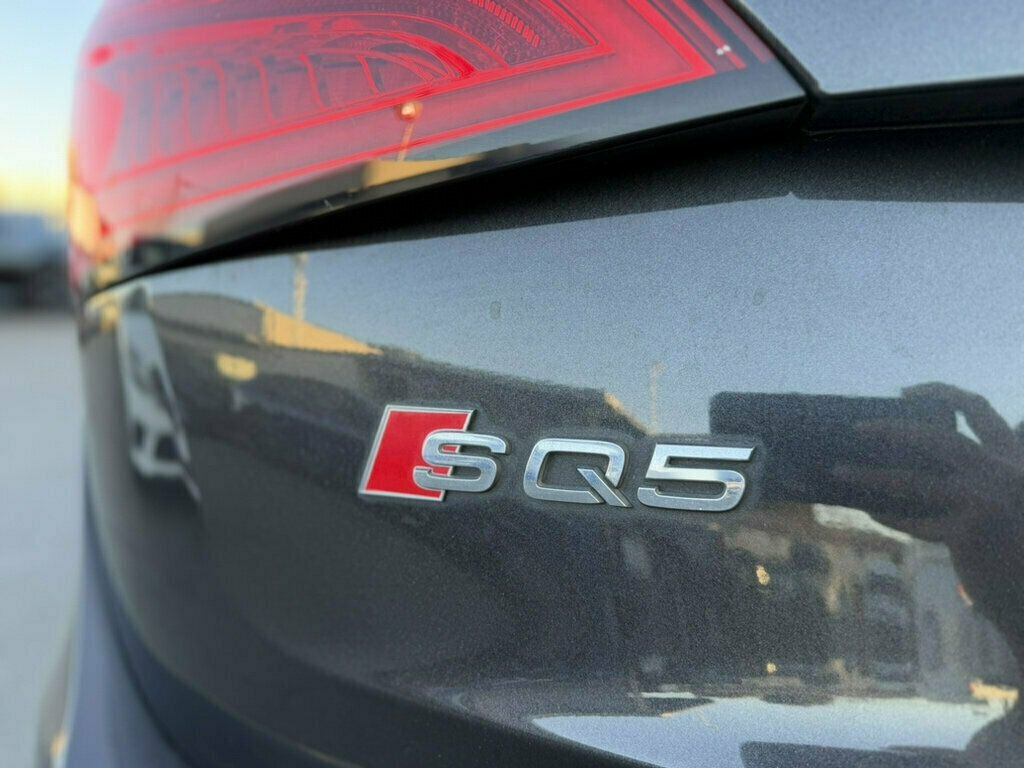 Audi SQ5 photo 22