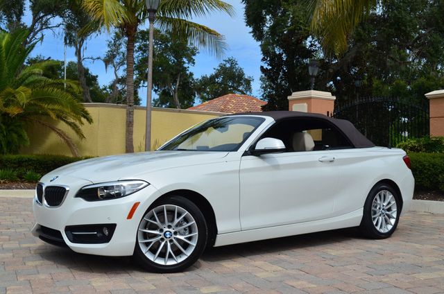 2016 BMW 2 Series 228i RWD 2 Door Convertible W/Premium and Technology Packages - 22944916 - 1