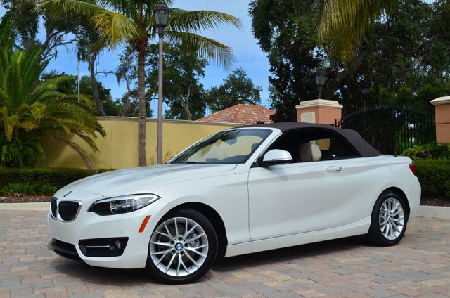 2016 BMW 2 Series 228i RWD 2 Door Convertible W/Premium and Technology Packages - 22944916 - 19