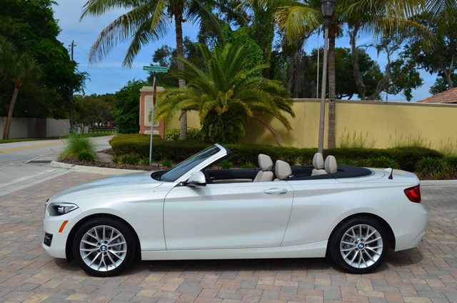 2016 BMW 2 Series 228i RWD 2 Door Convertible W/Premium and Technology Packages - 22944916 - 20
