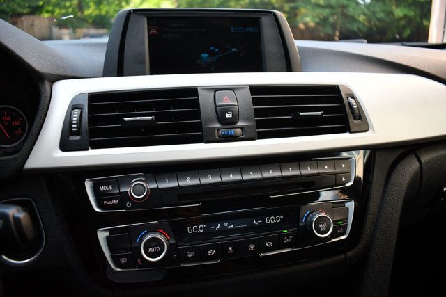 2016 BMW 3 Series 320i - 22884971 - 20