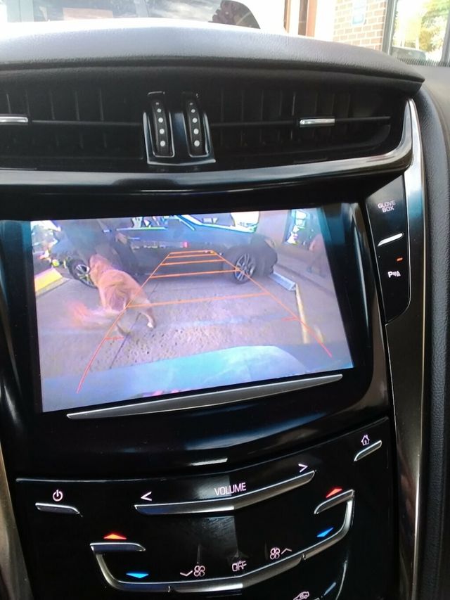 2016 Cadillac CTS Sedan 4dr Sedan 2.0L Turbo RWD - 22942100 - 19