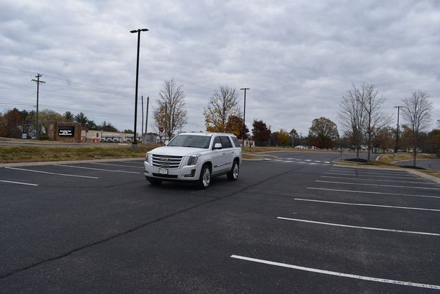 2016 Cadillac Escalade 4WD 4dr Platinum - 22948641 - 62