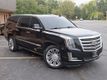 2016 Cadillac Escalade ESV 4WD 4dr Platinum - 22918437 - 9