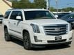 2016 Cadillac Escalade ESV 4WD 4dr Platinum - 22550573 - 13