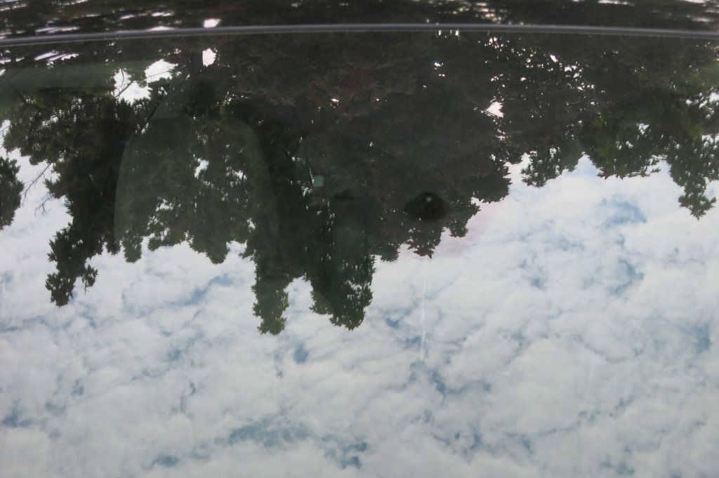 2016 Ford Escape 4WD 4dr Titanium - 22922403 - 89