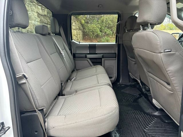 2016 Ford F-150 2016 FORD F-150 XLT - 22955267 - 19