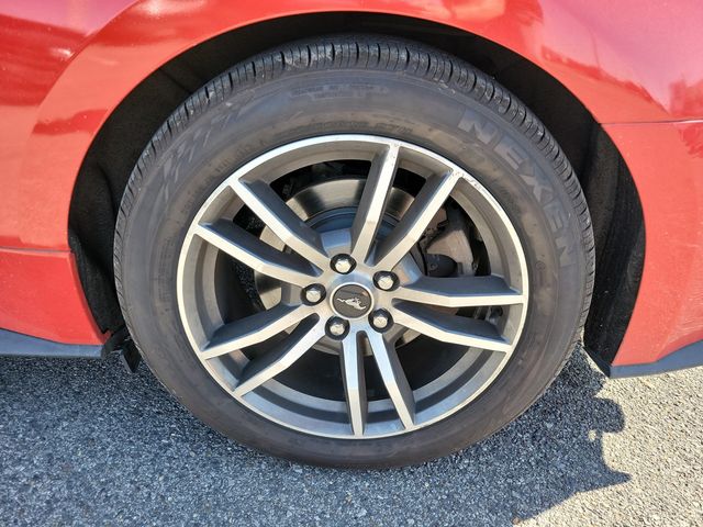 2016 Ford Mustang 2dr Convertible EcoBoost Premium - 22939481 - 19