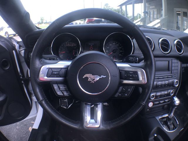 View 15