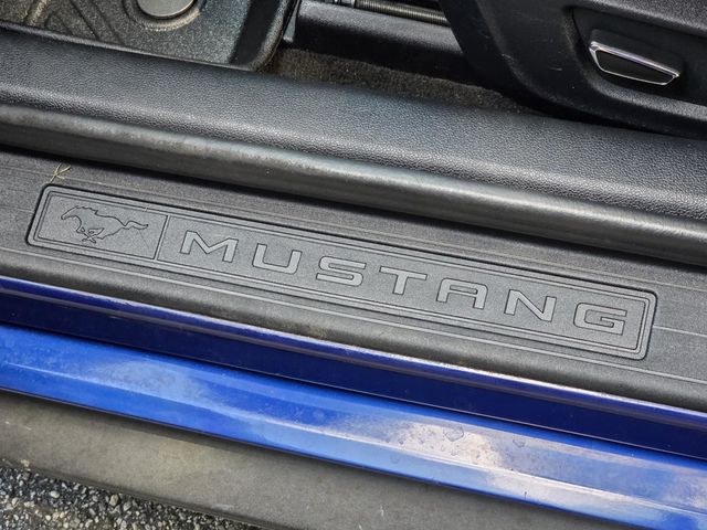 2016 Ford Mustang 2dr Fastback EcoBoost - 23075392 - 23