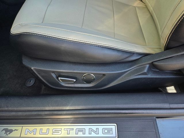 2016 Ford Mustang 2dr Fastback EcoBoost - 22999972 - 10