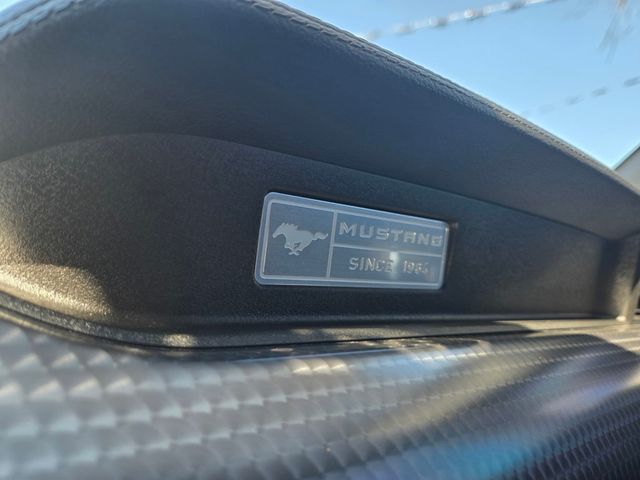 2016 Ford Mustang 2dr Fastback EcoBoost - 22999972 - 25