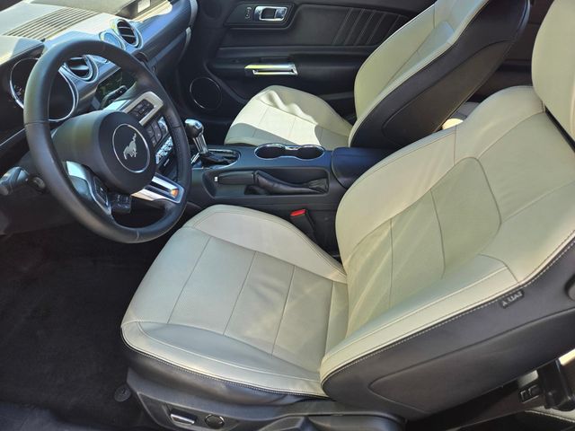 2016 Ford Mustang 2dr Fastback EcoBoost - 22999972 - 8