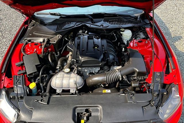 2016 Ford Mustang 2dr Fastback EcoBoost - 23060896 - 33