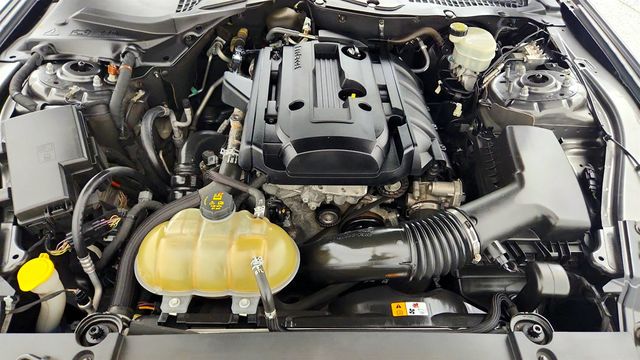 2016 Ford Mustang 2dr Fastback EcoBoost - 23056734 - 23