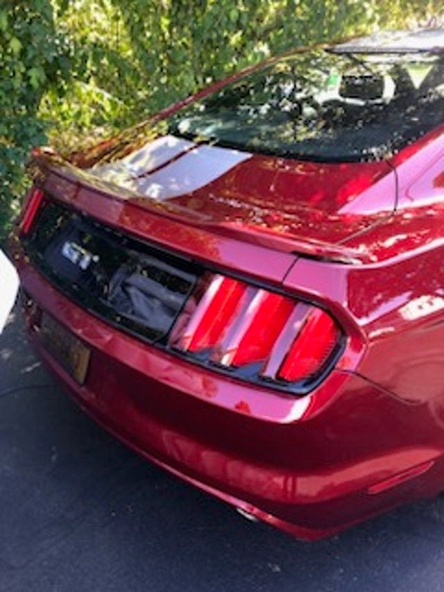 2016 Ford Mustang 2dr Fastback GT - 23059807 - 2