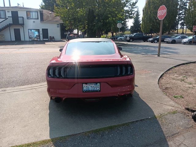 2016 Ford Mustang 2dr Fastback GT - 22921245 - 3