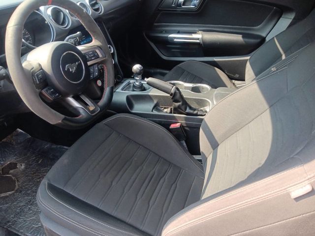 2016 Ford Mustang 2dr Fastback GT - 22921245 - 4