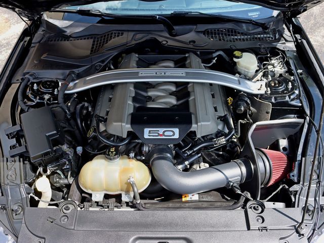 2016 Ford Mustang 2dr Fastback GT - 23070450 - 23