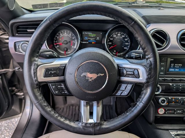 2016 Ford Mustang 2dr Fastback GT - 23030389 - 15