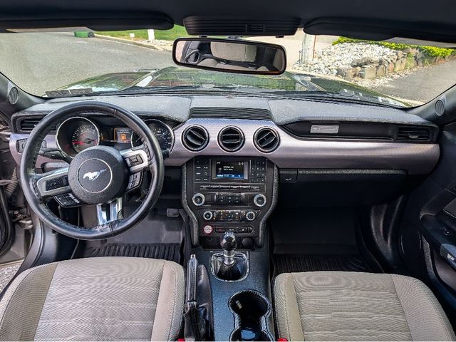 2016 Ford Mustang 2dr Fastback GT - 23030389 - 27