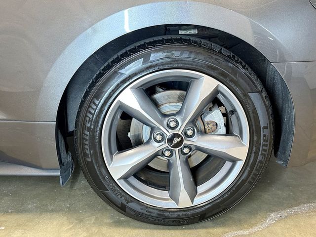 2016 Ford Mustang 2dr Fastback V6 - 23057558 - 29