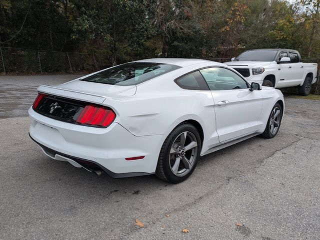 2016 Ford Mustang 2dr Fastback V6 - 22953908 - 3