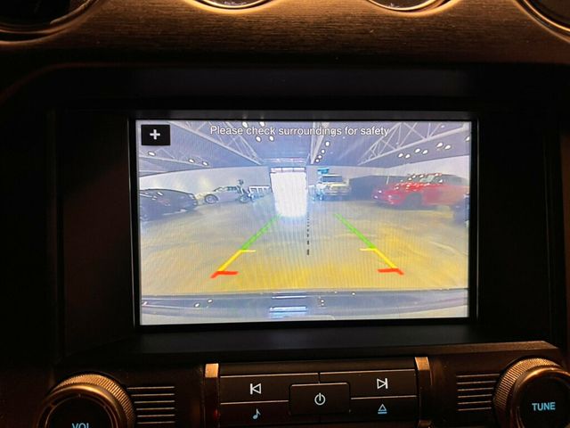 2016 Ford Mustang GT350/TechnologyPkg/Htd&CldSeats/DualZoneClimate/ActiveExhaust - 22980441 - 18