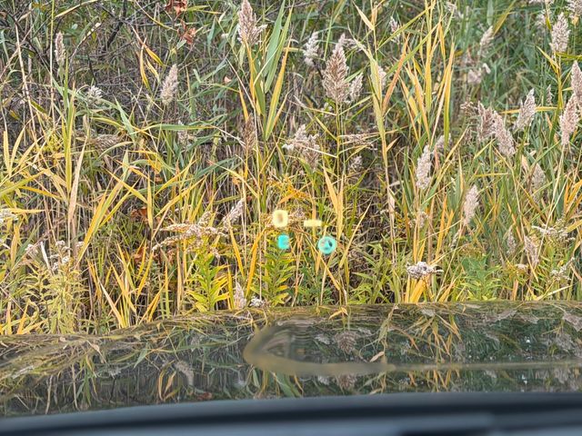 2016 GMC Yukon XL 4WD 4dr Denali - 22939348 - 28