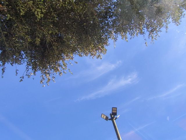 2016 Honda Odyssey EXL - 22941706 - 19