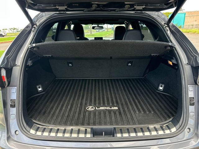 2016 Lexus NX 200t FWD 4dr F Sport - 22972534 - 19