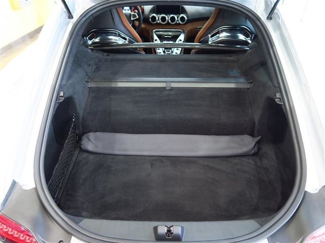 2016 Mercedes-Benz AMG GT 2dr Cpe S - 17076233 - 10