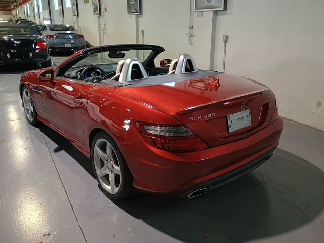 2016 Mercedes-Benz SLK 2dr Roadster SLK 300 AMG Sport Designo - 23040600 - 3