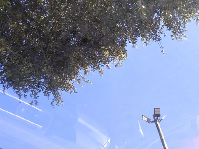 2016 Toyota 4Runner RWD 4dr V6 SR5 - 22949203 - 18