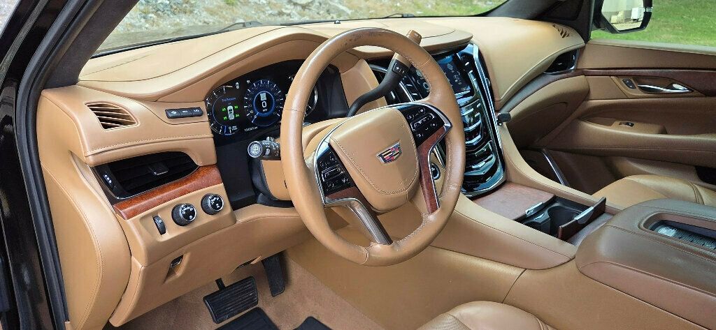 2017 Cadillac Escalade 4WD 4dr Platinum - 22910088 - 9