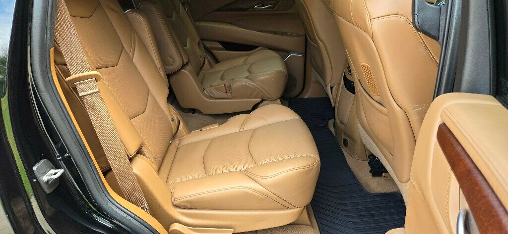 2017 Cadillac Escalade 4WD 4dr Platinum - 22910088 - 20