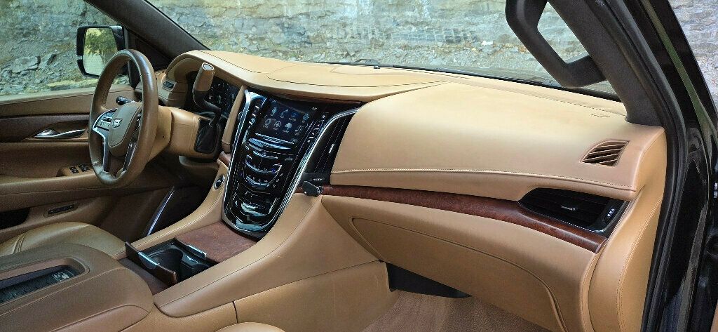 2017 Cadillac Escalade 4WD 4dr Platinum - 22910088 - 23