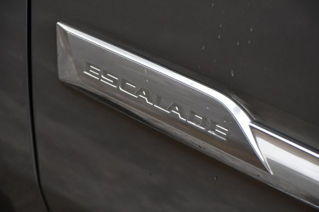 2017 Cadillac Escalade ESV 4WD 4dr Luxury - 22983224 - 18