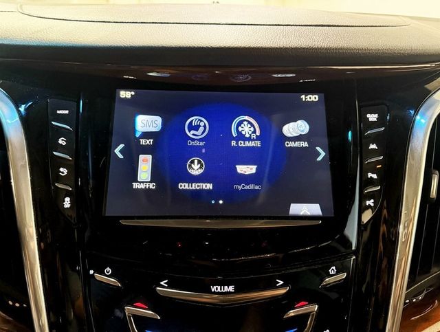 2017 Cadillac Escalade ESV 4WD 4dr Luxury - 22930735 - 20