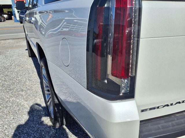 2017 Cadillac Escalade ESV 4WD 4dr Platinum - 23093496 - 20