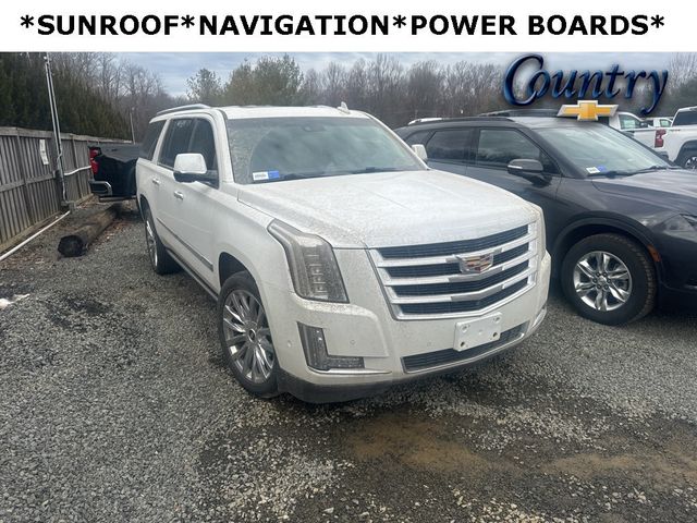 2017 Cadillac Escalade ESV 4WD 4dr Premium Luxury - 22758372 - 0