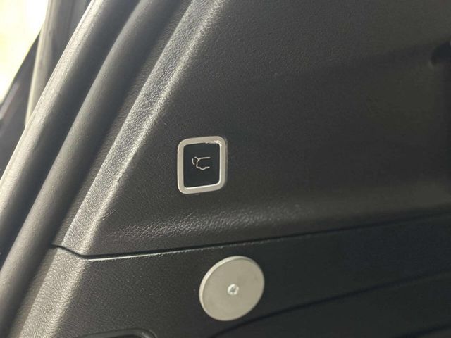 2017 Chrysler Pacifica Limited 4dr Wagon - 22976969 - 30