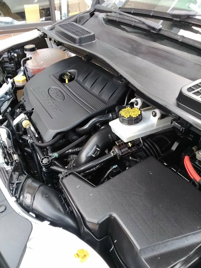 2017 Ford Escape SE FWD - 23046091 - 25