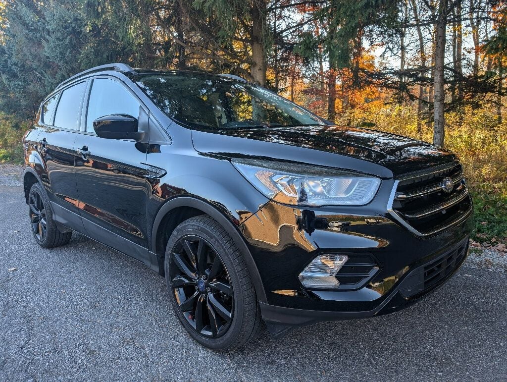 2017 Ford Escape SPORT APPEARANCE PACKAGE - 22641169 - 0