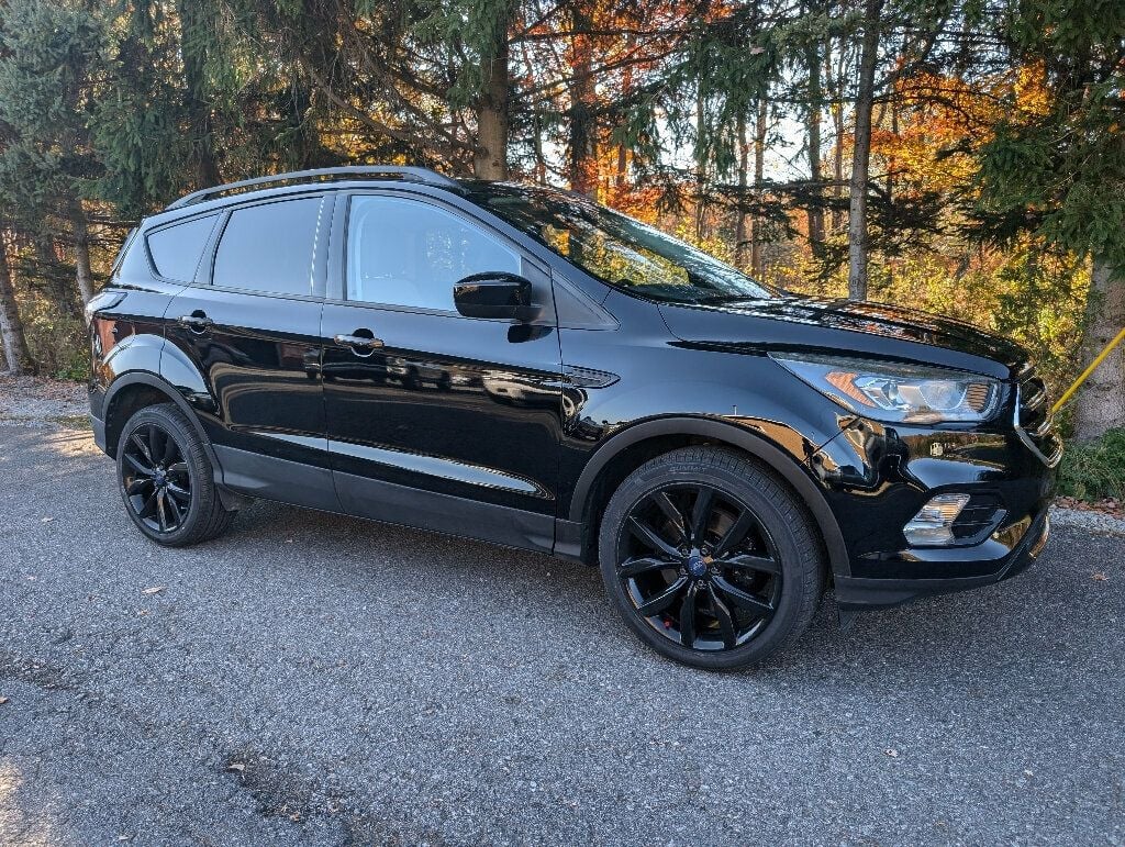 2017 Ford Escape SPORT APPEARANCE PACKAGE - 22641169 - 1