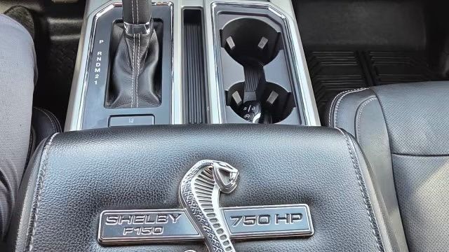2017 Ford F-150 SHELBY SUPER SNAKE SUPERCHARGED 750HP - 23003247 - 13